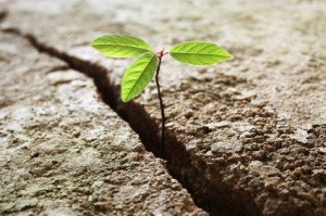 beliefs essential to finances