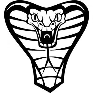 cobra insurance
