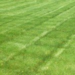lawn-and-garden